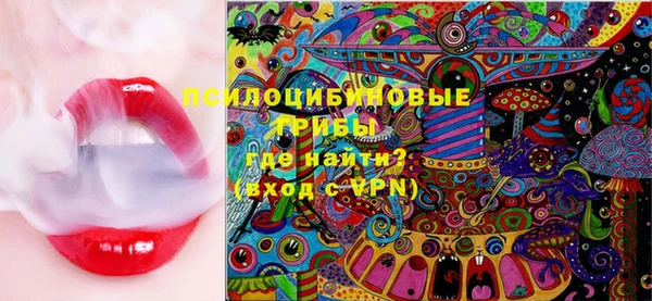 молекула духа Балахна