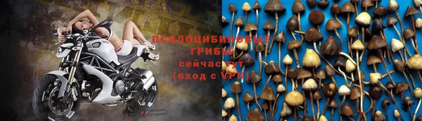молекула духа Балахна