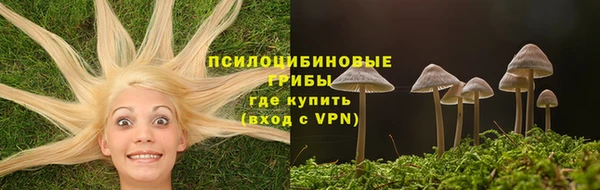 молекула духа Балахна