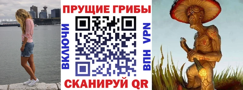 Галлюциногенные грибы ЛСД  omg ONION  Сысерть 